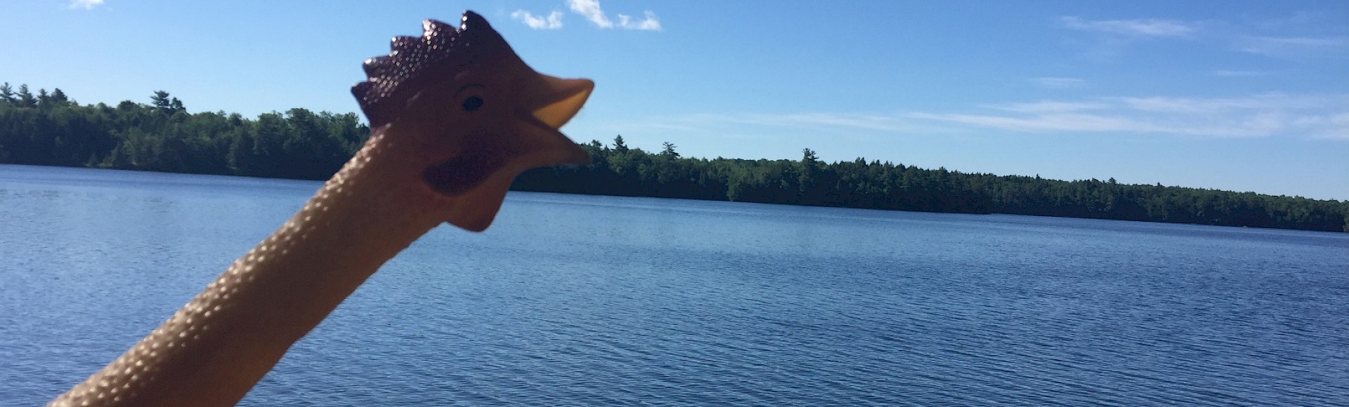 Marketing & Publicity